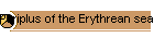 Periplus of the Erythrean sea