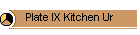 Plate IX Kitchen Ur