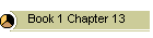 Book 1 Chapter 13