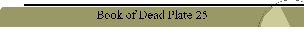Book of Dead Plate 25