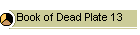 Book of Dead Plate 13