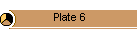Plate 6