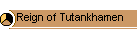 Reign of Tutankhamen