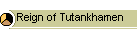 Reign of Tutankhamen