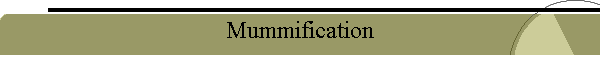 Mummification