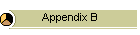 Appendix B
