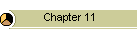 Chapter 11