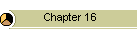 Chapter 16