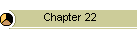 Chapter 22