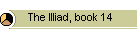 The Illiad, book 14