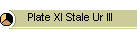 Plate XI Stale Ur III
