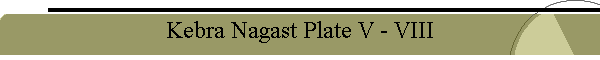 Kebra Nagast Plate V - VIII