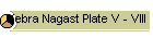 Kebra Nagast Plate V - VIII