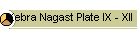 Kebra Nagast Plate IX - XII