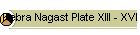 Kebra Nagast Plate XIII - XVI