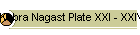 Kebra Nagast Plate XXI - XXIV