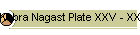 Kebra Nagast Plate XXV - XXVIII
