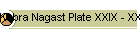 Kebra Nagast Plate XXIX - XXXII