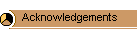 Acknowledgements