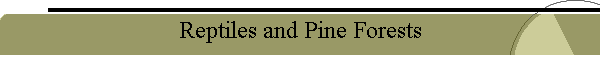 Reptiles and Pine Forests