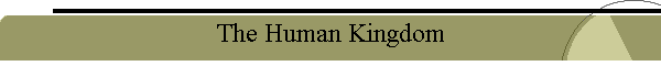 The Human Kingdom