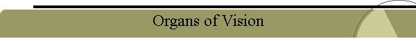 Organs of Vision