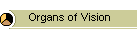 Organs of Vision