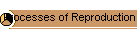 Processes of Reproduction