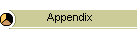 Appendix