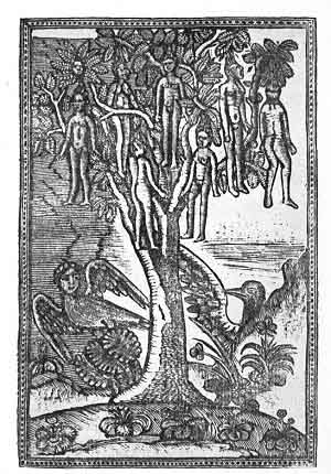 PLATE XIX. THE WAKWAK TREE<br> (From <i>Ta’rikh</i> al-Hind al-Gharbi. Constantinople, 1729)